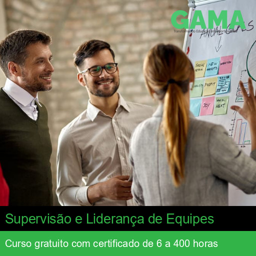 Supervisão e Liderança de Equipes